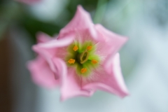 DSC_0646